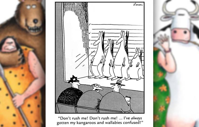 far side comic where a man picks a kangaroo out of a police line-up