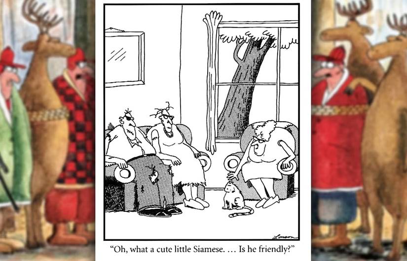 far side comic where a woman asks badly injured owners if their cat is friendly-1