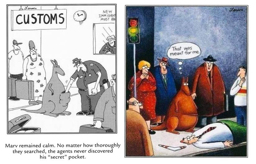 far side comics about kangaroos and crimes