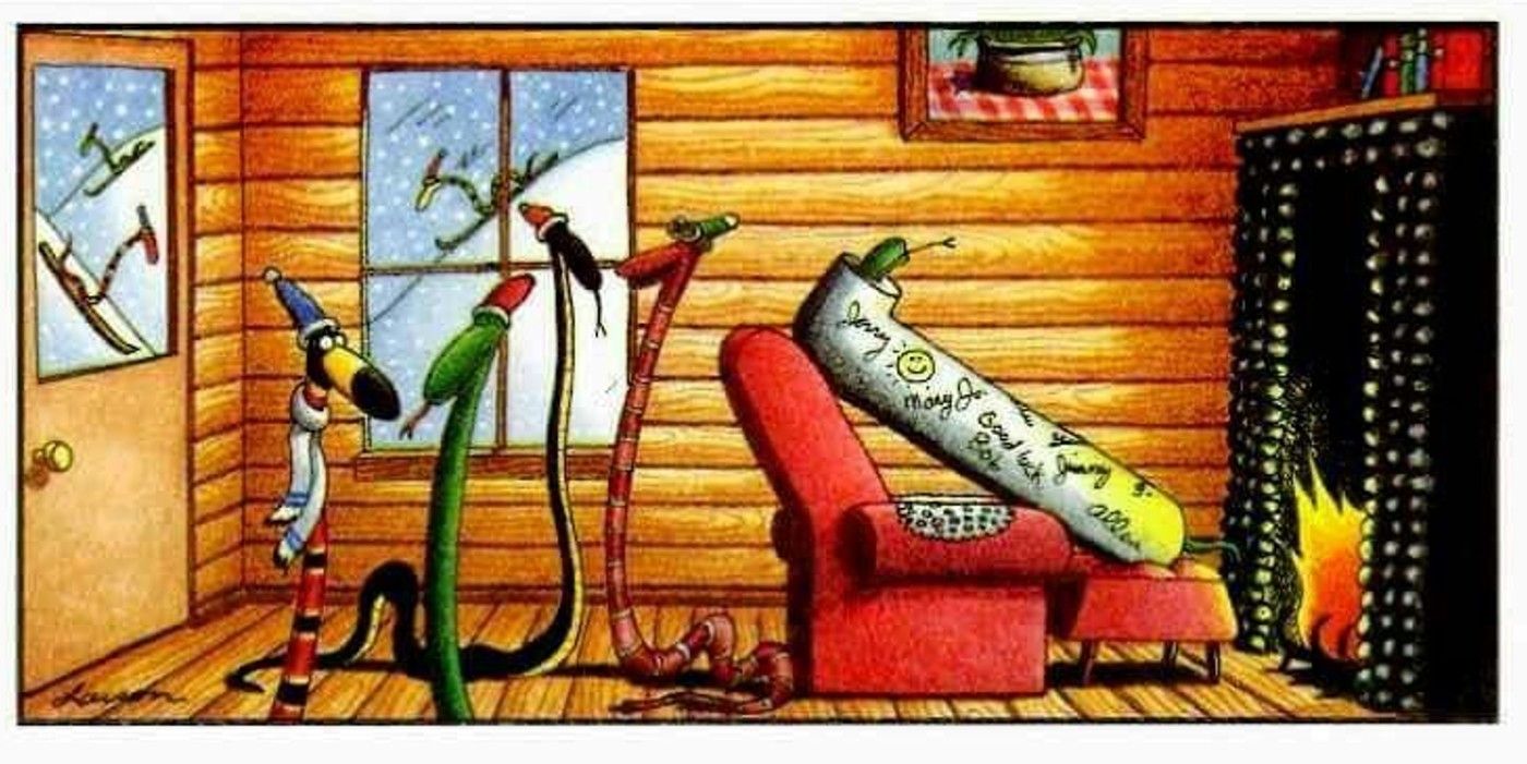 far side snake skiing accident