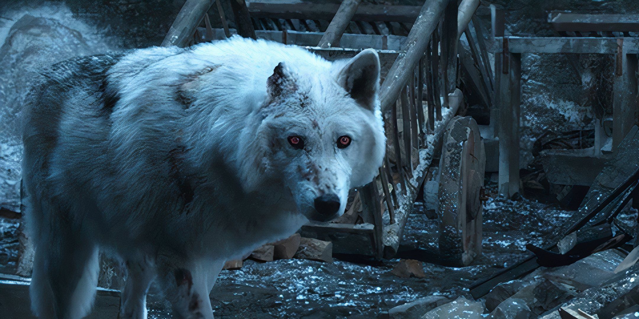 Game Of Thrones Ending: The Fates Of All Stark Direwolves Explained