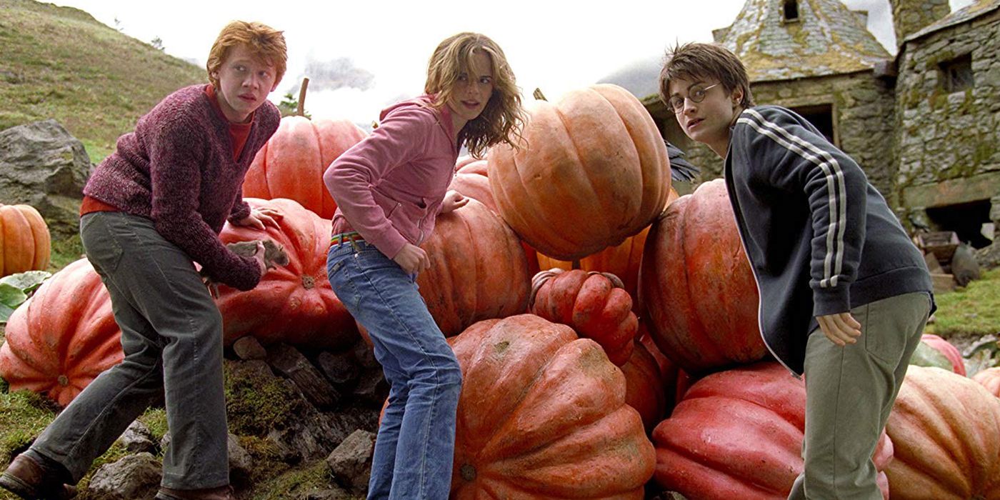 harry rony hermione