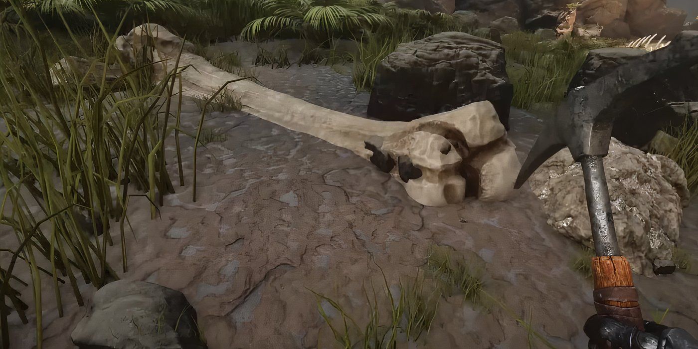Harvesting bones for salt in Ark Survival Ascended.