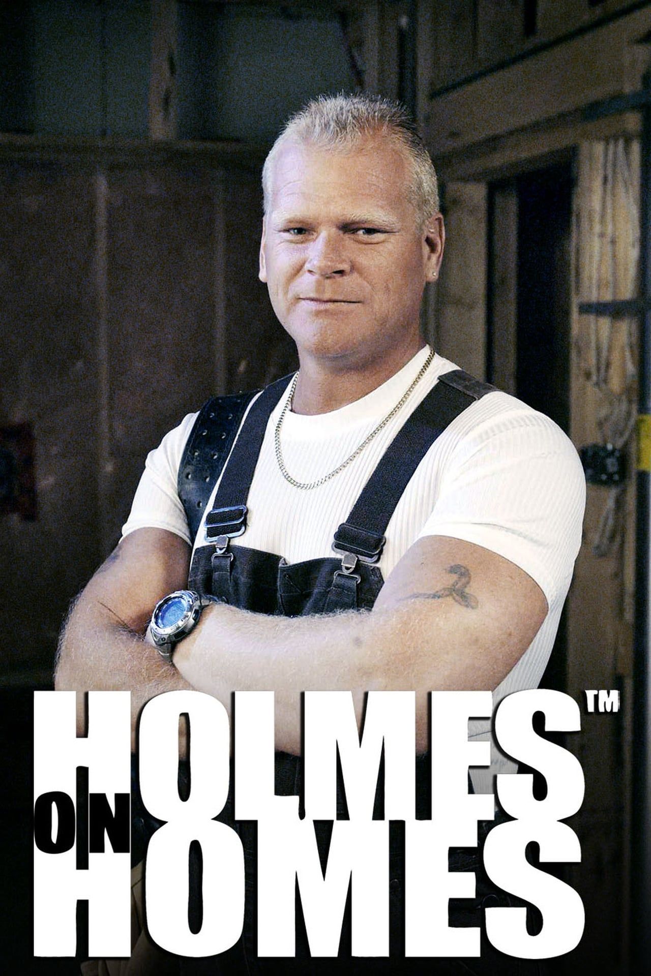 Holmes on Homes_TV Show_Poster