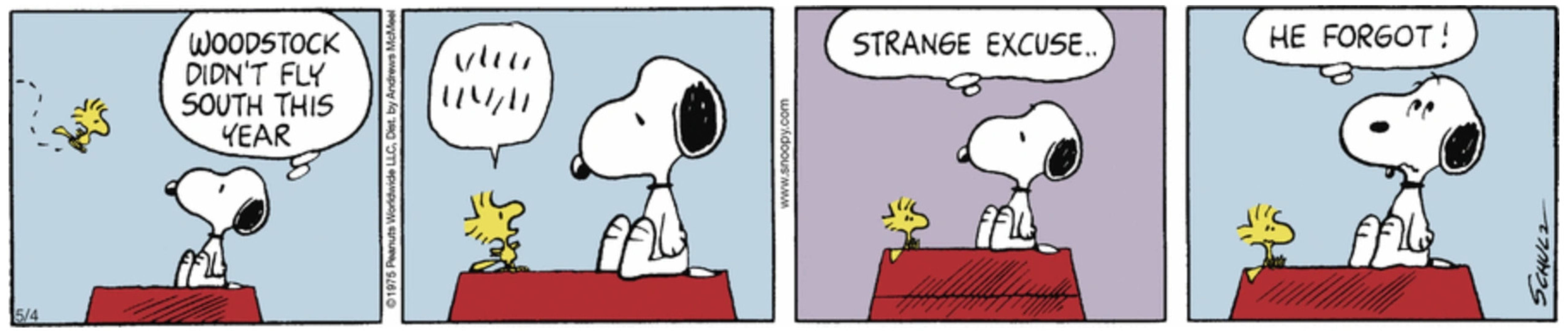 Woodstock explains that he forgot to fly south for the winter, which Snoopy calls a 