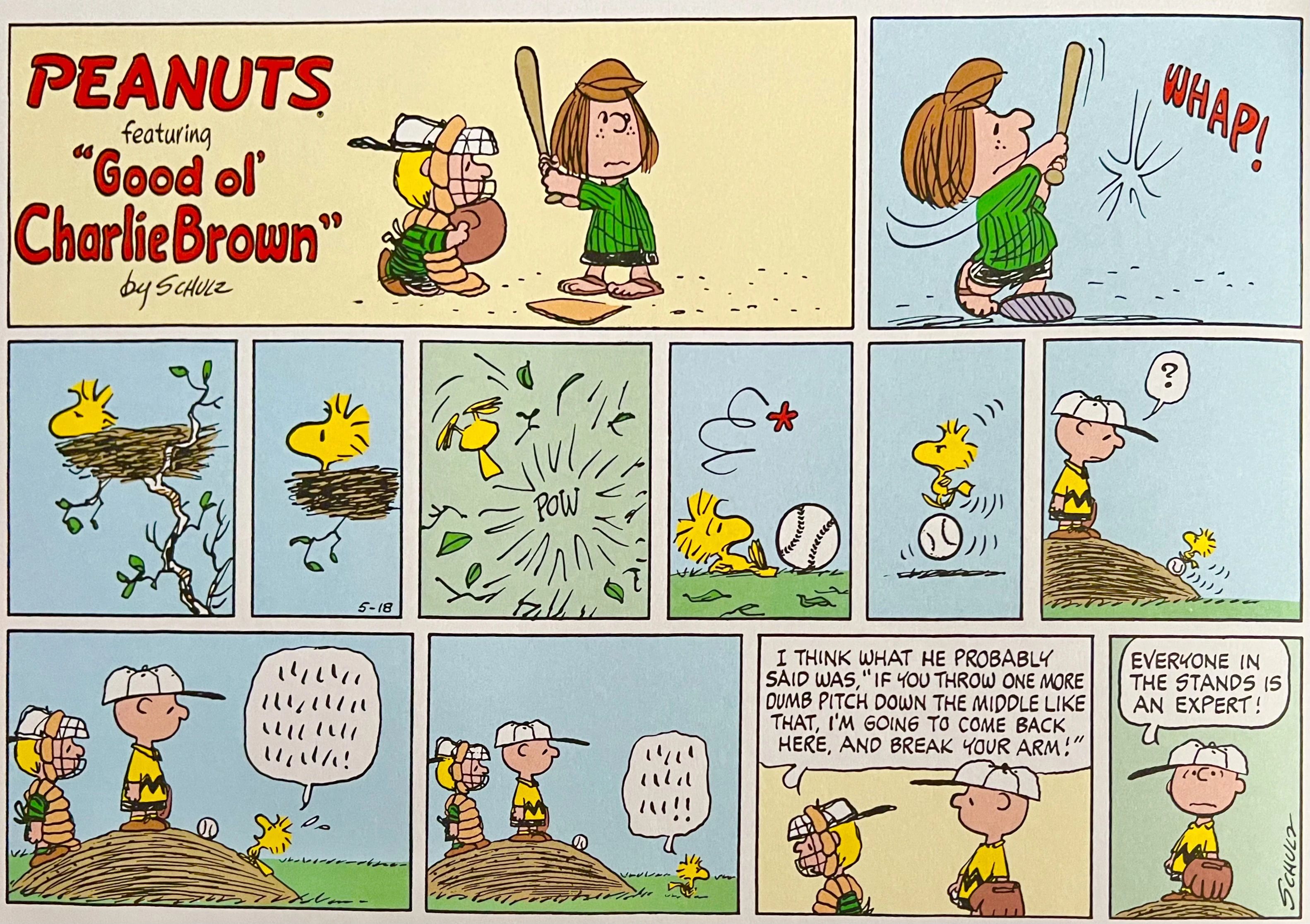 Peanuts baseball strip, Woodstock's nest is accidentally destroyed by a fly ball.