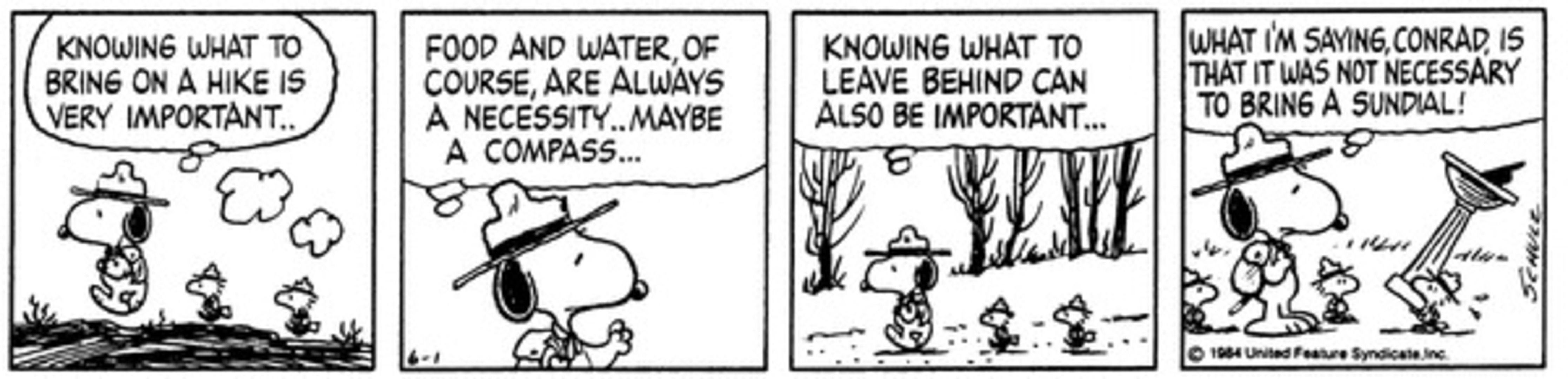 Peanuts, Snoopy questions why one of his beagle scouts brought a sundial on a hike.