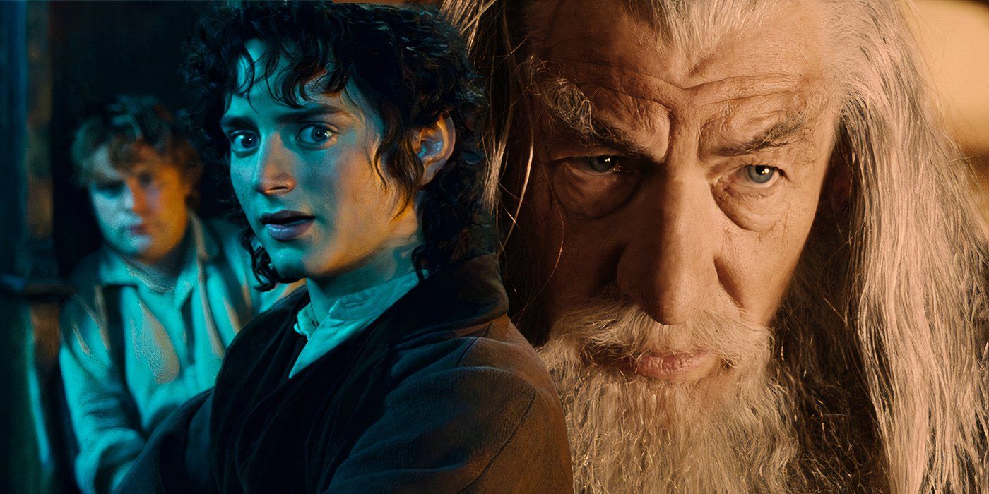 Elijah Wood looking shocked as Frodo next to Ian McKellen as Gandalf