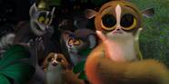 Madagascar The Movie Animals 60 Photos Moonagedaydream film