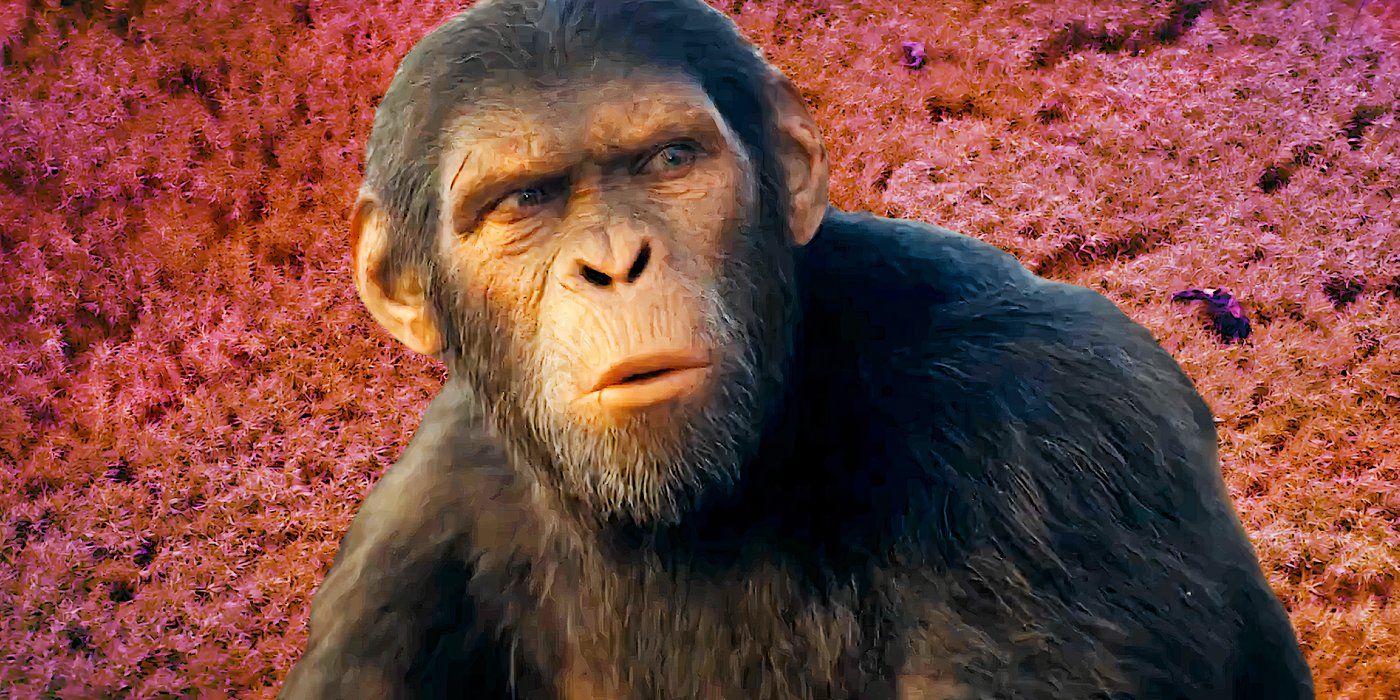 Noa looks curious in a Kingdom of the Planet of the Apes custom image