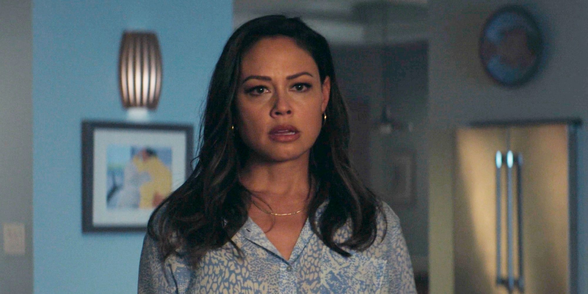 Vanessa Lachey Update Offically Kills All Hope For An NCIS: Hawai'i Season 4