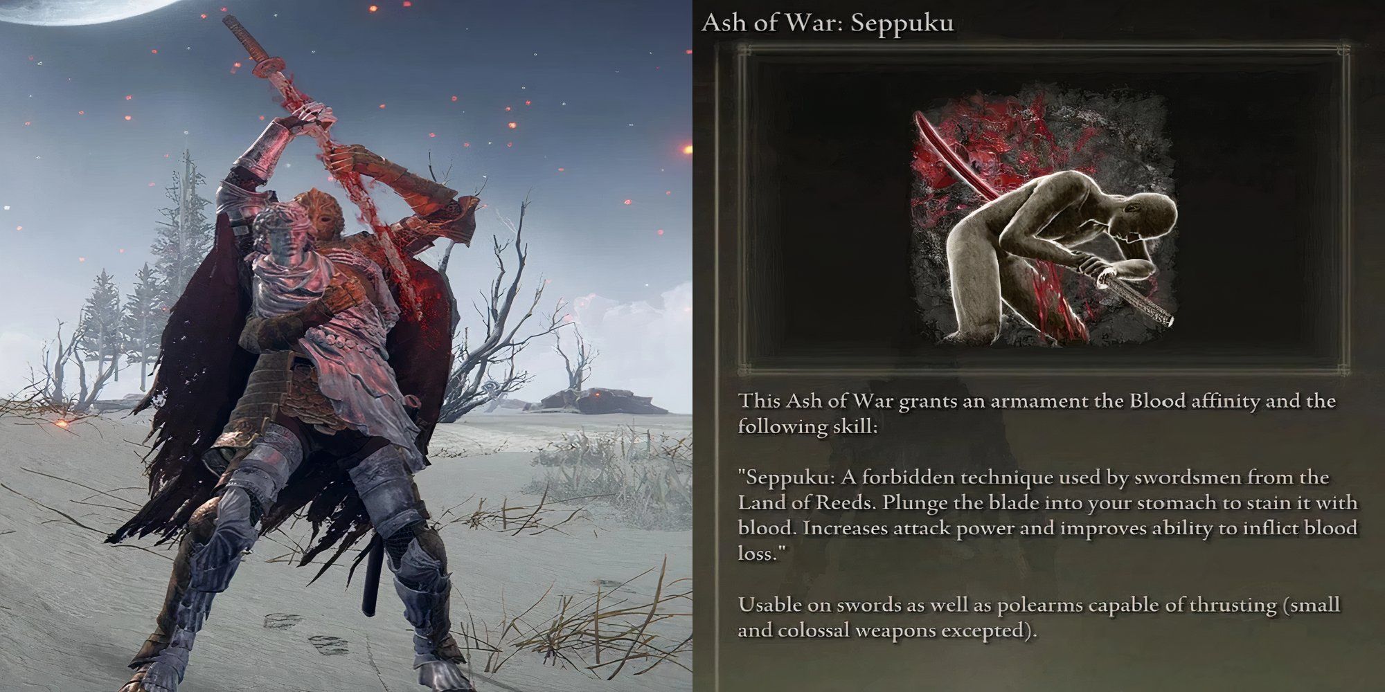 Sepukku Ash of War Elden Ring