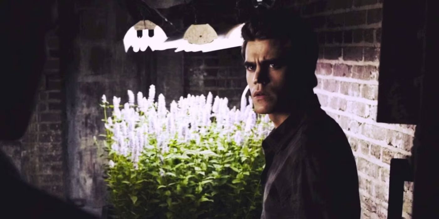 10 Biggest The Vampire Diaries Plot Holes & Contrivances Across All 8 Seasons