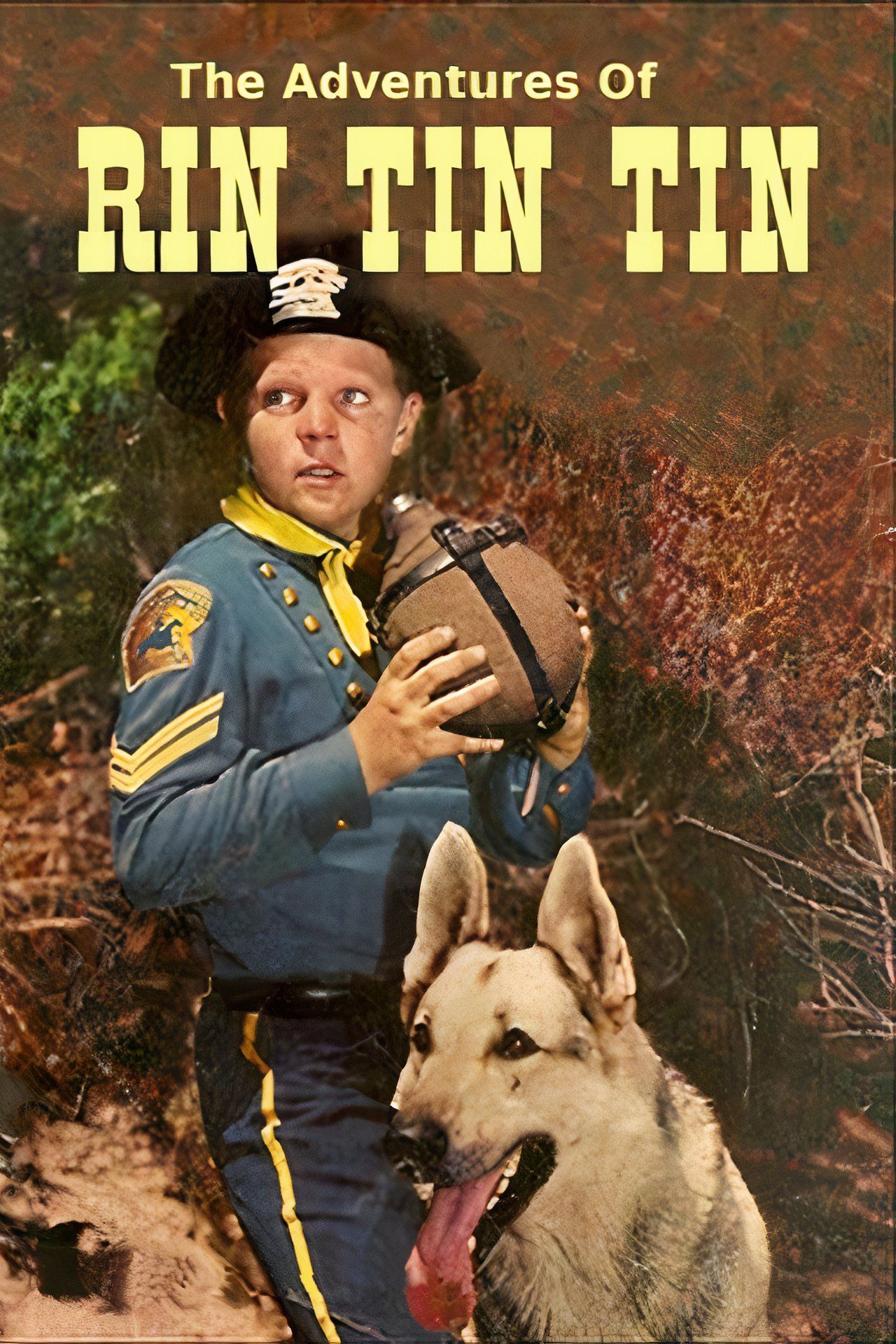 When Was Rin Tin Tin On Tv