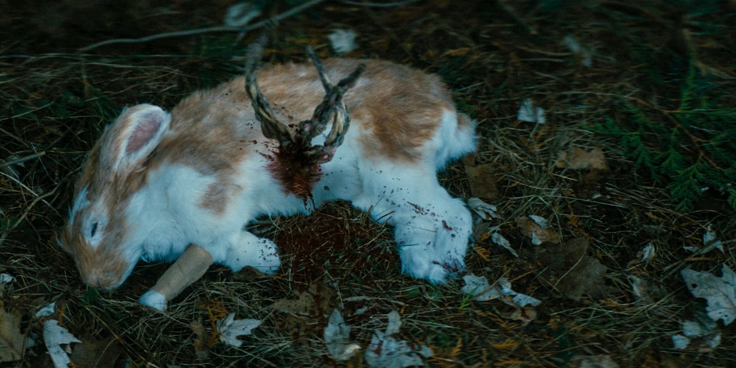 A rabbit with V parasites bursting from its stomach in The Boys season 4 episode 5