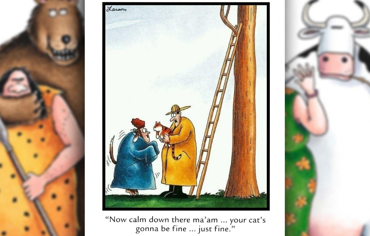 the far side comic where a fireman is tricked into retrieving a cat from a tree on behalf of a dog