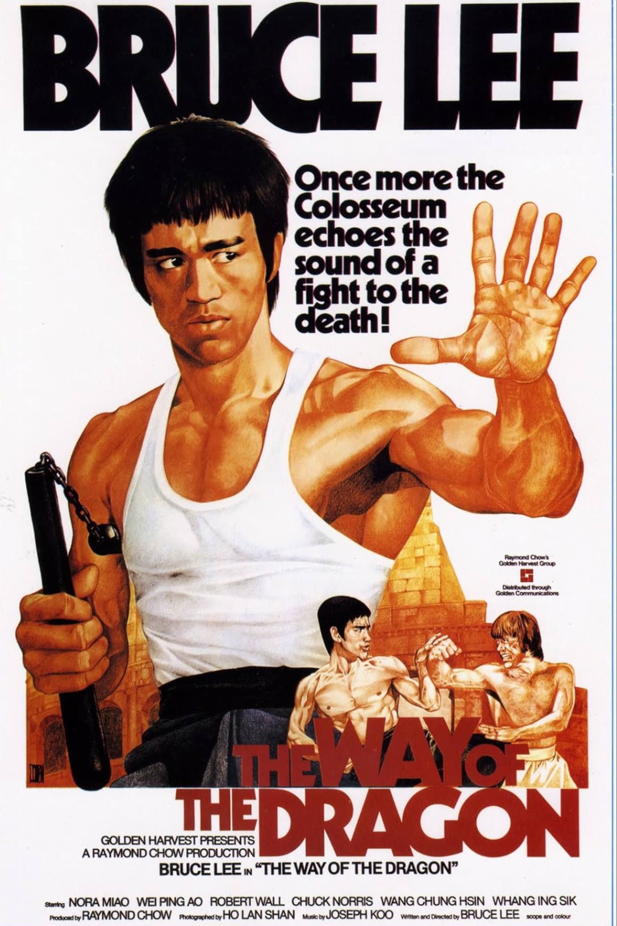 The Way of the Dragon Summary, Trailer, Cast, and More - Screen Rant