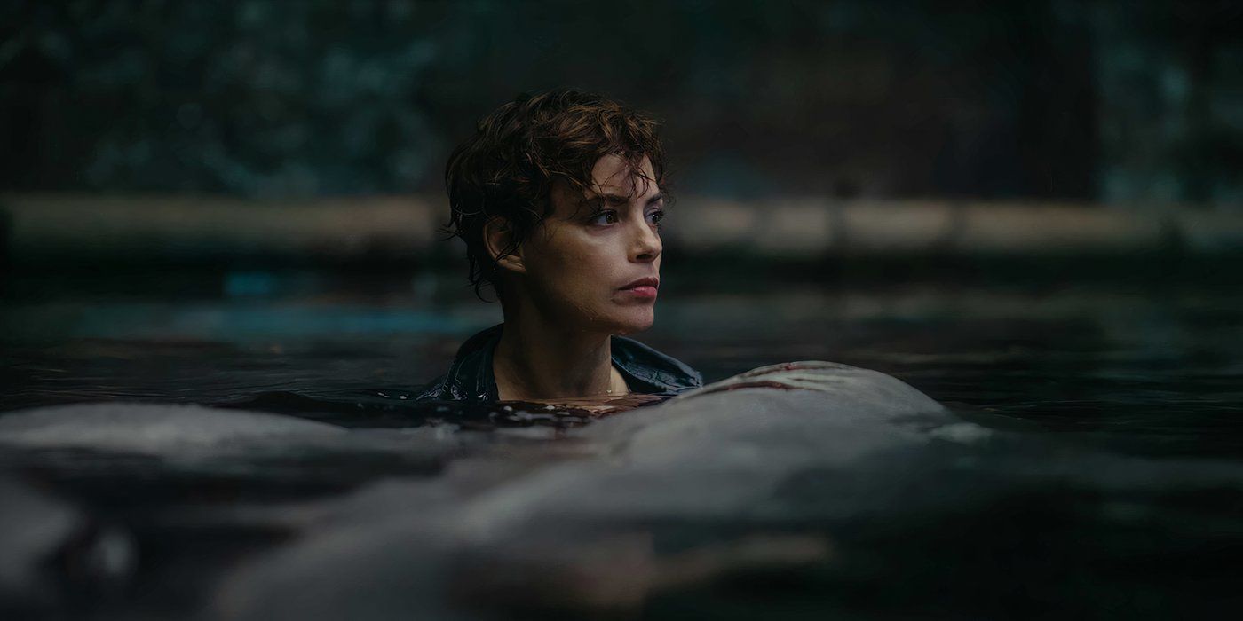 Under Paris' Sophia (Bérénice Bejo) in the water with a dead shark. 
