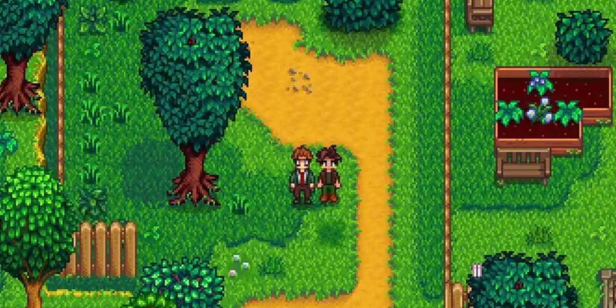 Stardew Valley Player Reveals Why You Should Never Live With Krobus