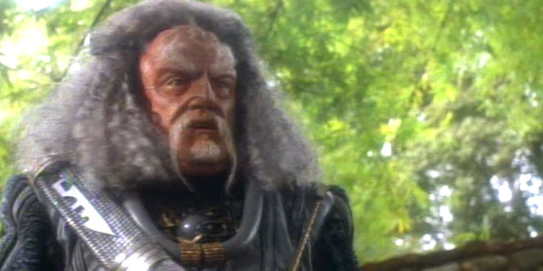 Star Trek Reveals Martok's Klingons Went To War With Tribbles After DS9