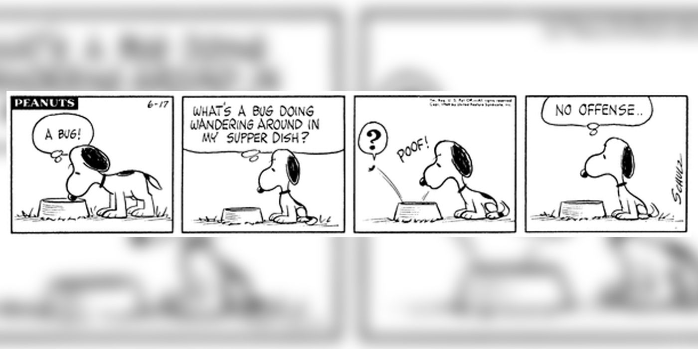 Snoopy finds a bug in his water dish and blows it out, before feeling bad about it.