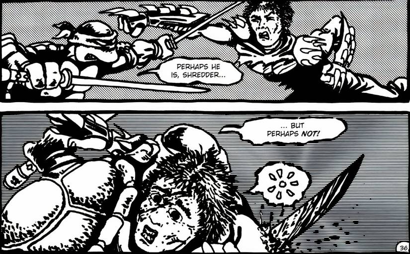 TMNT's Leonardo stabbing Shredder through the chest with his sword.