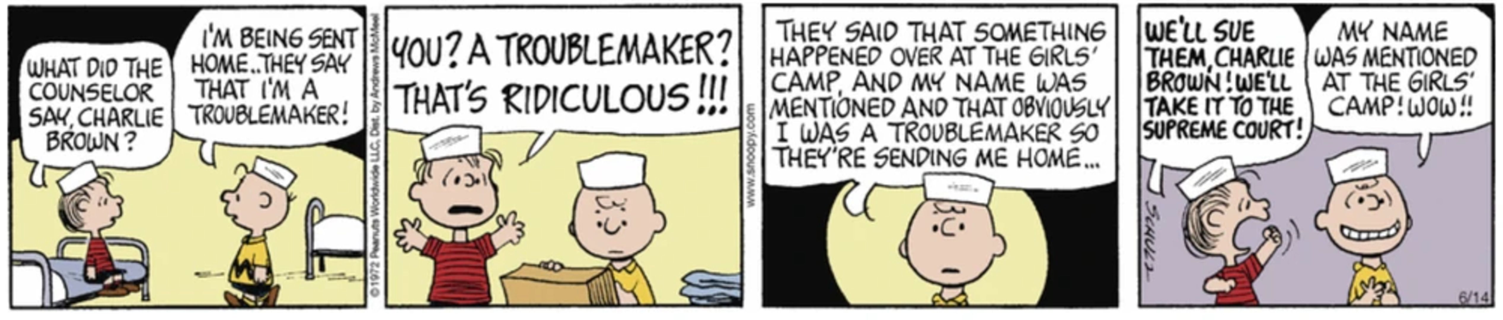 Peanuts Summer Camp, Charlie Brown being called a troublemaker at camp.