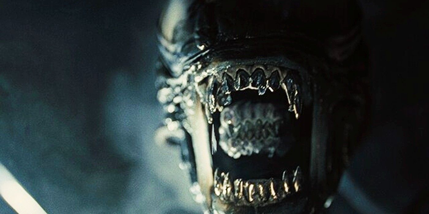 Every Type Of Xenomorph In The Alien Franchise Explained