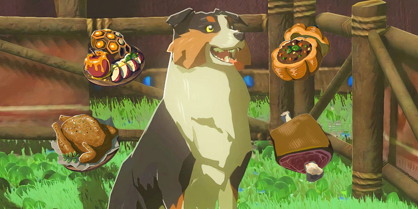 Zelda Player Finds Hilarious Problem With Feeding Dogs To Find Treasure In TOTK