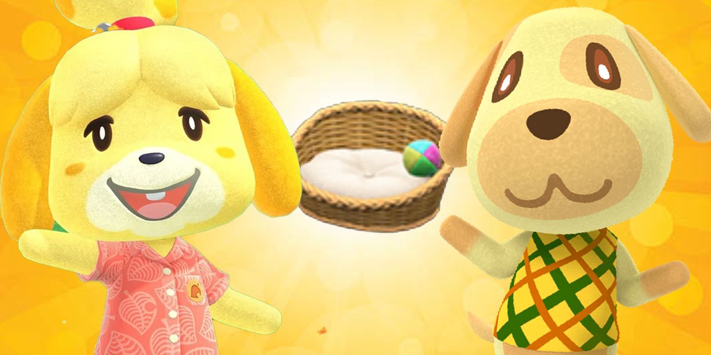 10 Animal Crossing Items You Still Didn't Know You Can Interact With