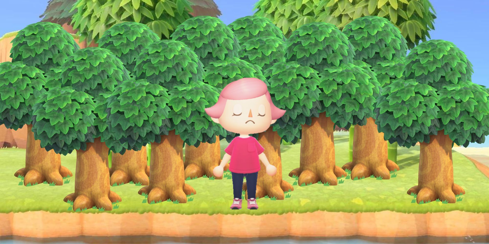 Animal Crossing Players Still Have One Big Problem With The Island Rating System