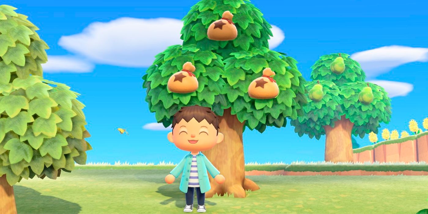 Animal Crossing: How Can You Keep Your Island Safe From Thieves In ACNH?