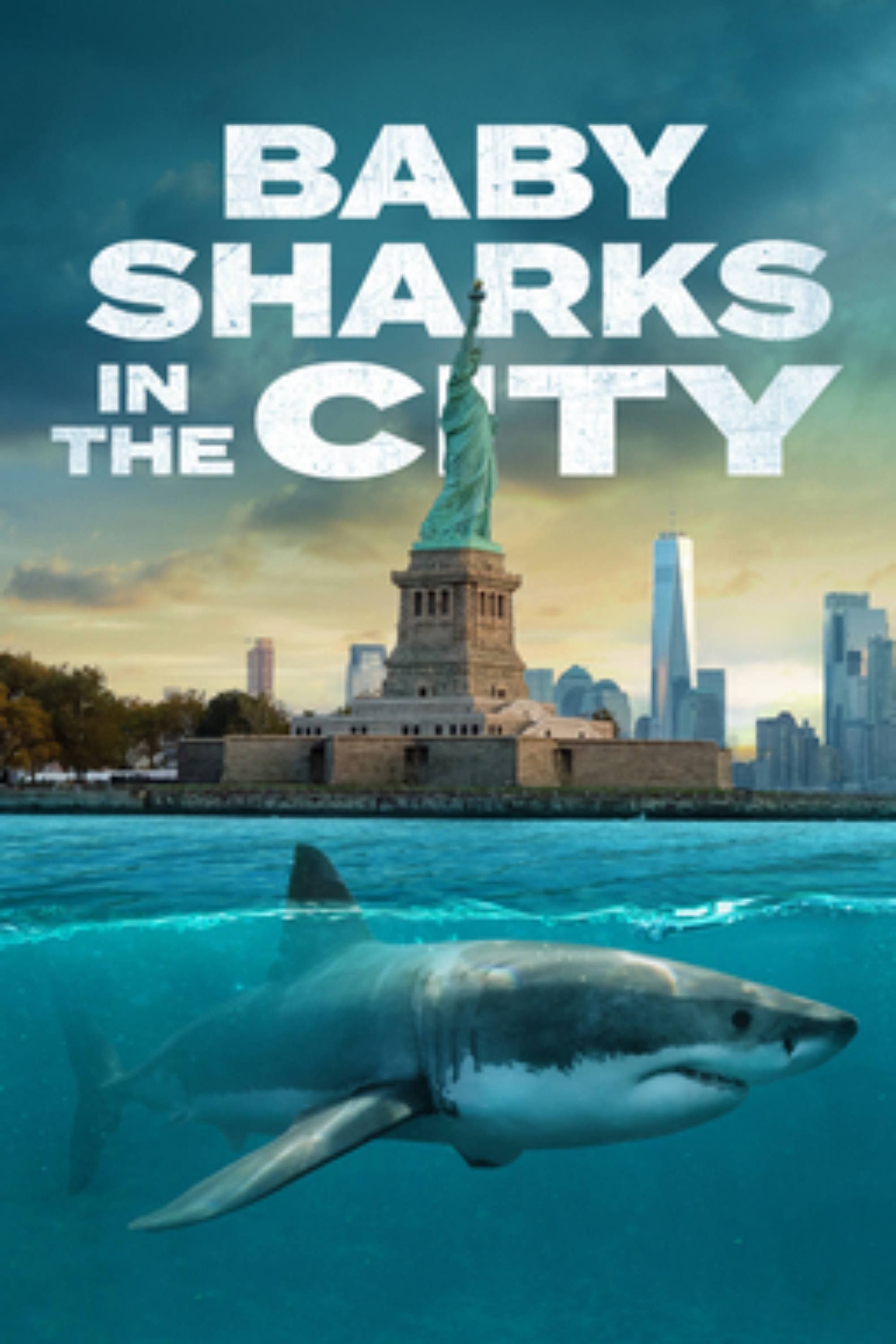 Baby Sharks in the City (2024) ScreenRant