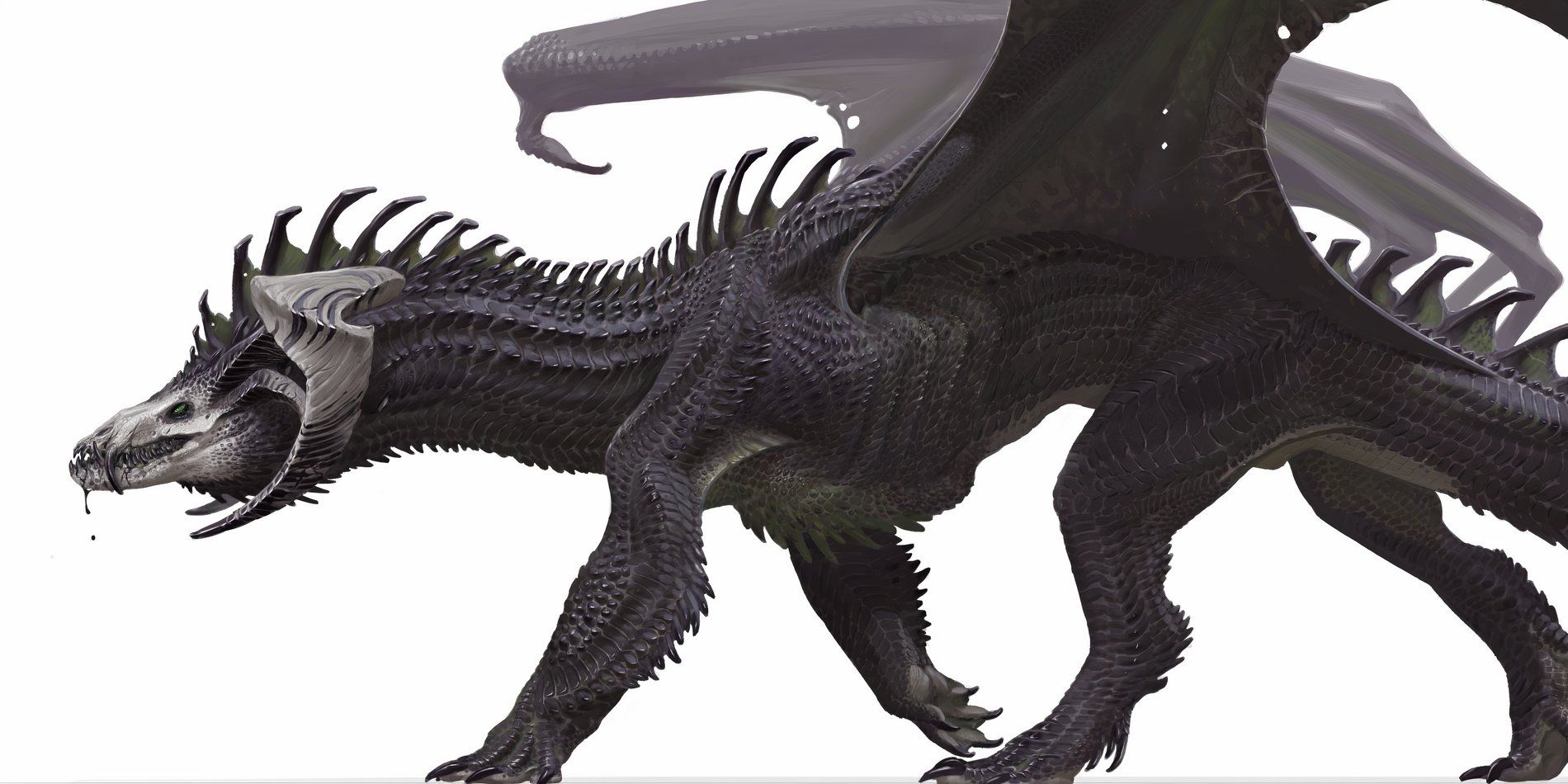 Josh Herman Reveals Surprising Influences For The New Black Dragon Design In The 2024 Dungeons & Dragons Core Rulebooks