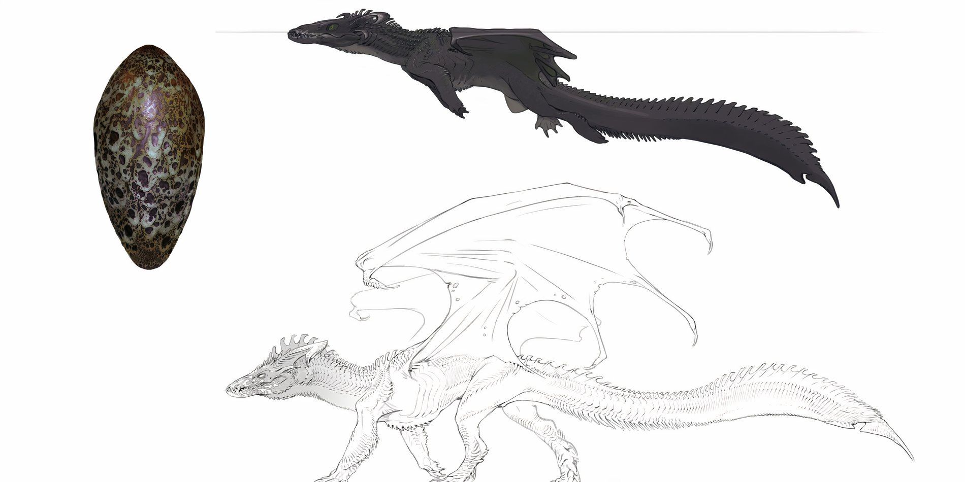 Josh Herman Reveals Surprising Influences For The New Black Dragon Design In The 2024 Dungeons & Dragons Core Rulebooks