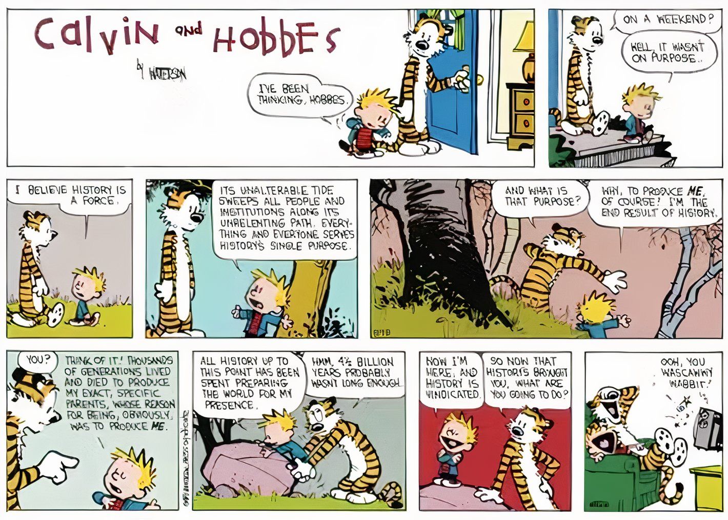 Calvin e Hobbes, os protagonistas discutem a história e a natureza do tempo.