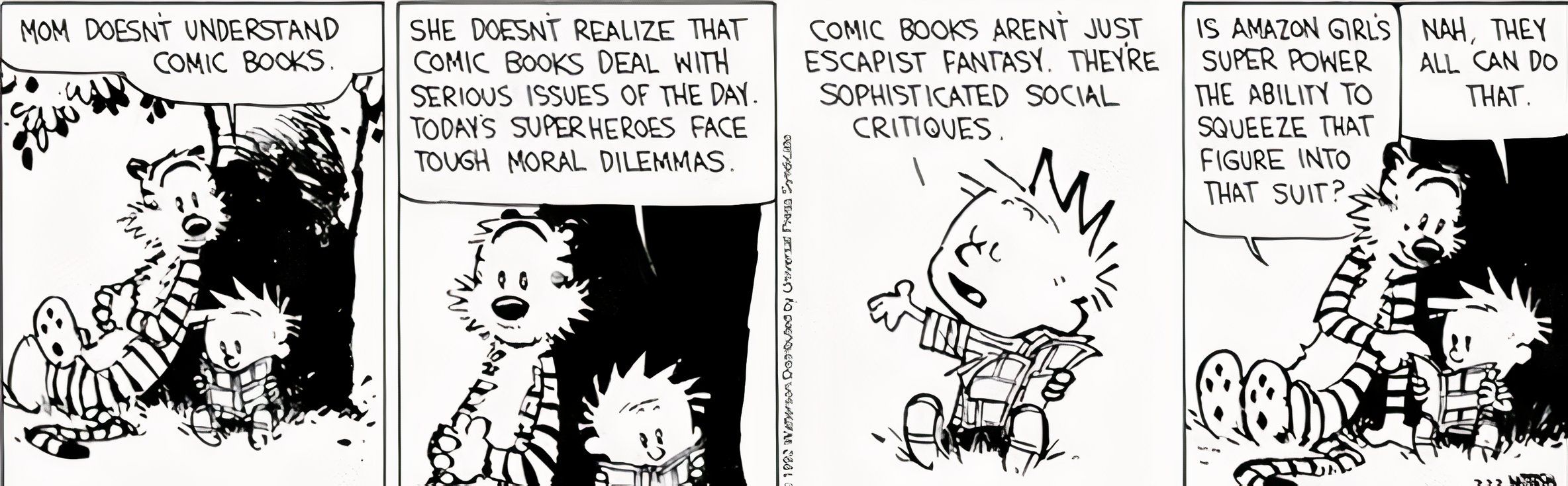 Calvin dá uma palestra a Hobbes sobre as “críticas sociais sofisticadas” nos quadrinhos; Hobbes responde com uma pergunta divertida