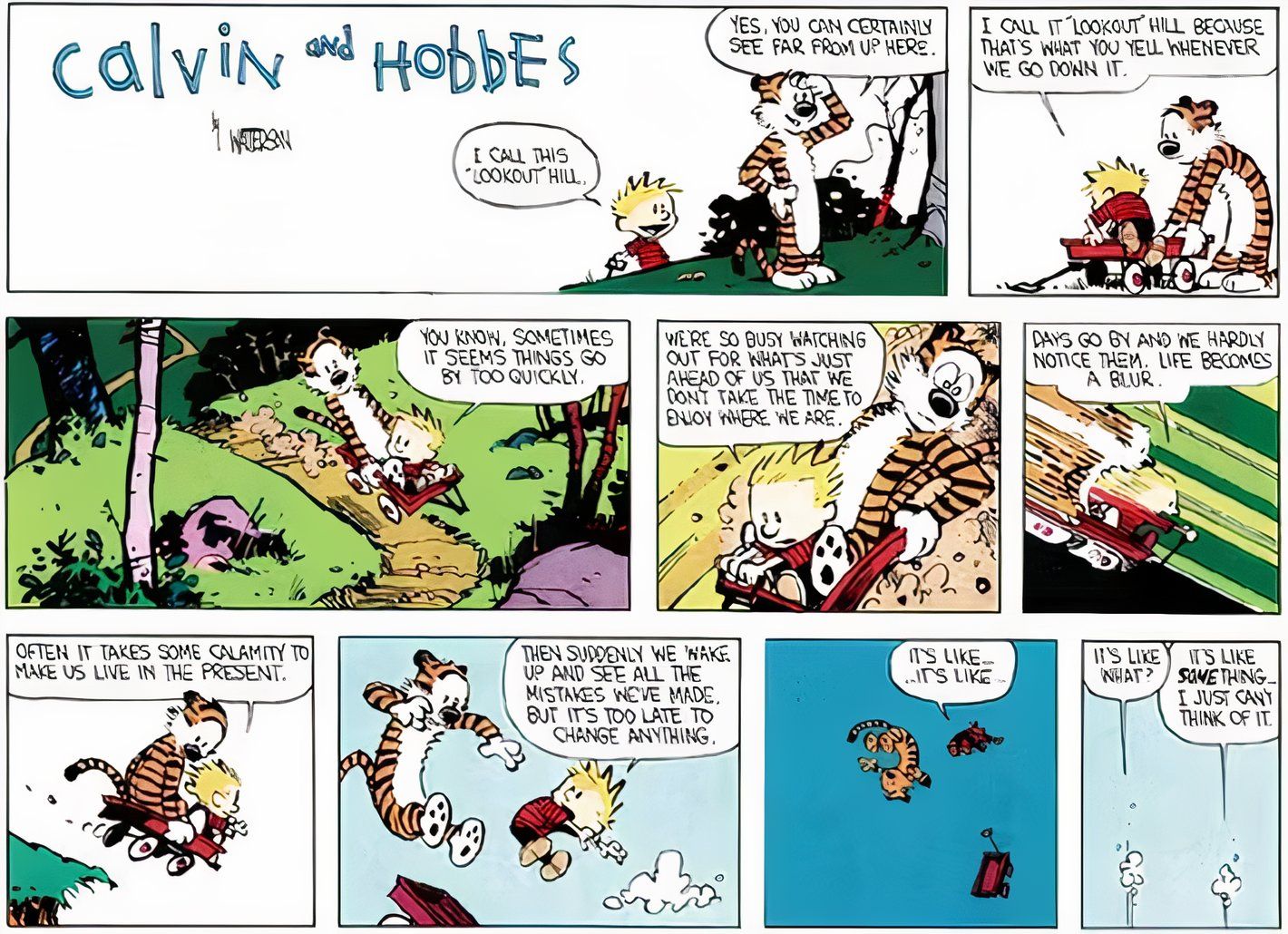 Calvin & Hobbes, Calvin reflete sobre a rapidez com que a vida passa enquanto eles aceleram em sua carroça vermelha e voam de um penhasco.