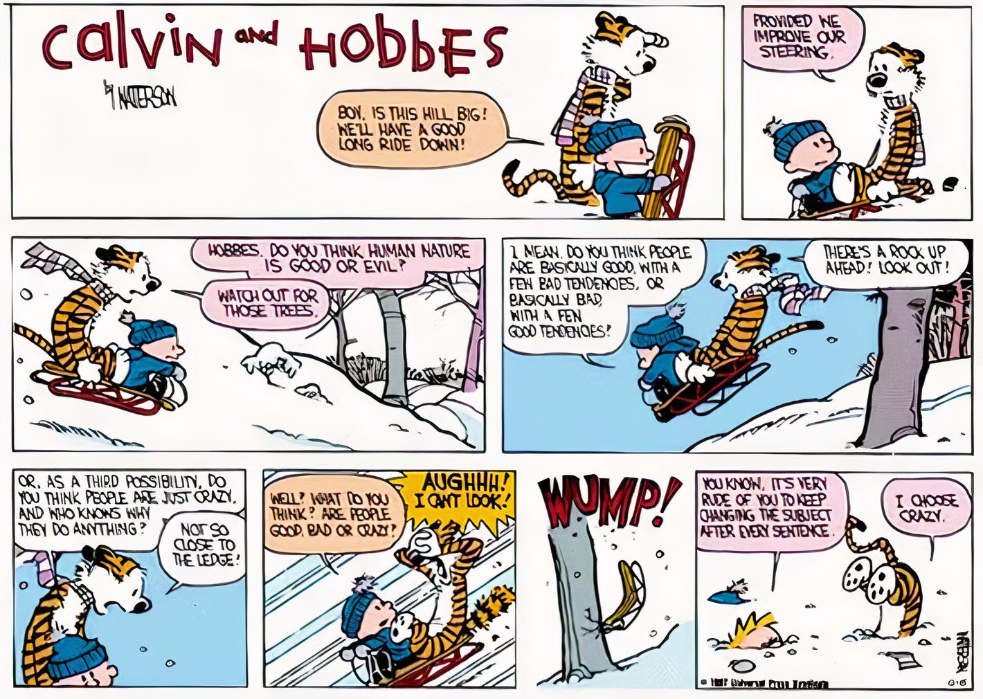 Calvin & Hobbes, os protagonistas discutem a mortalidade humana enquanto descem uma colina de trenó.