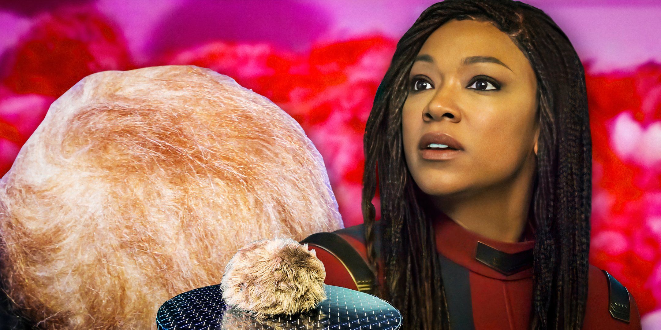 Star Trek Reveals Why Tribbles Are No Longer A Threat In Discovery