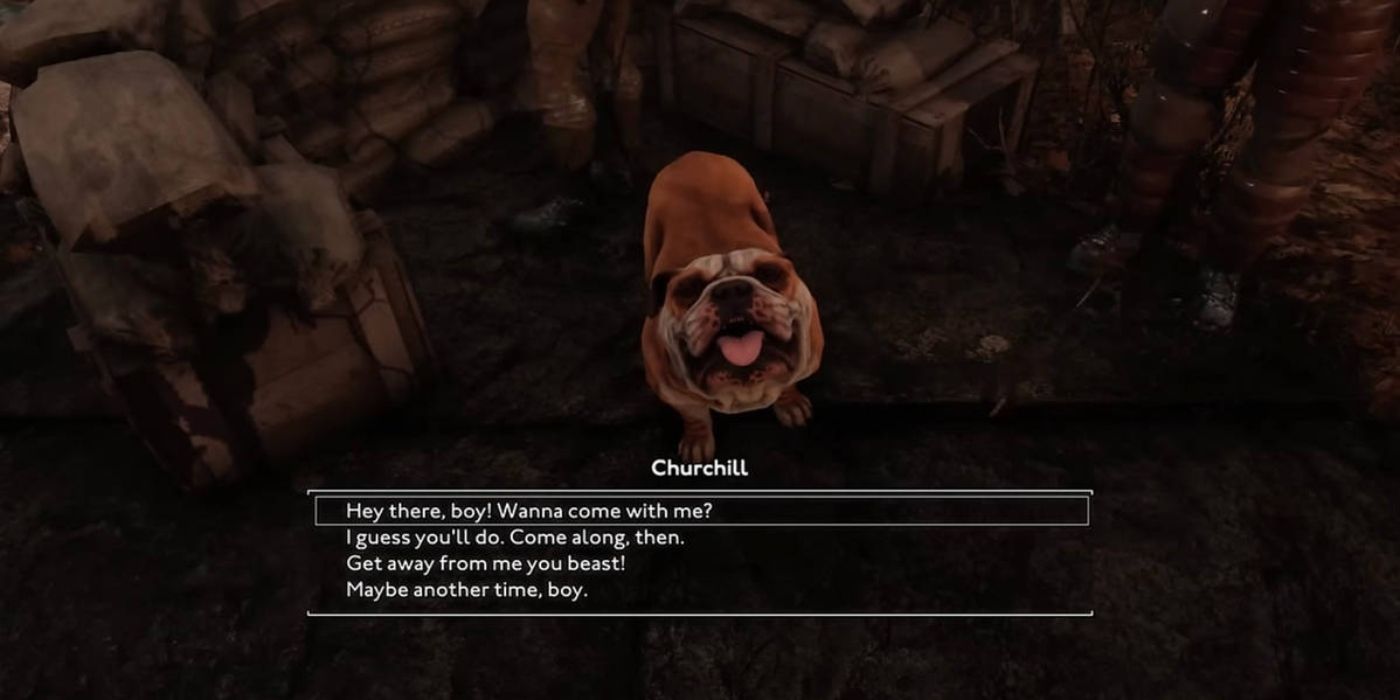 El jugador habla con el bulldog Churchill en Fallout London.