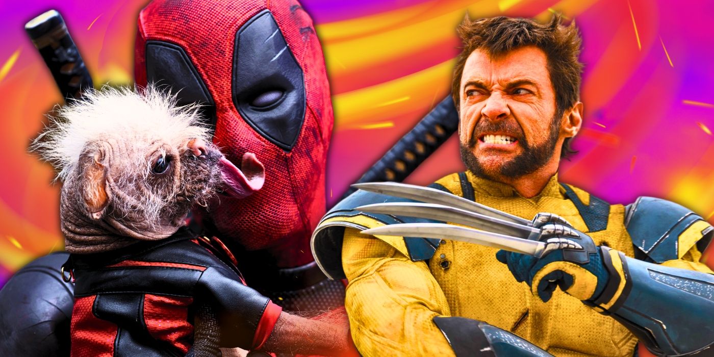 Collage of Deadpool holding Dogpool and Wolverine looking angry