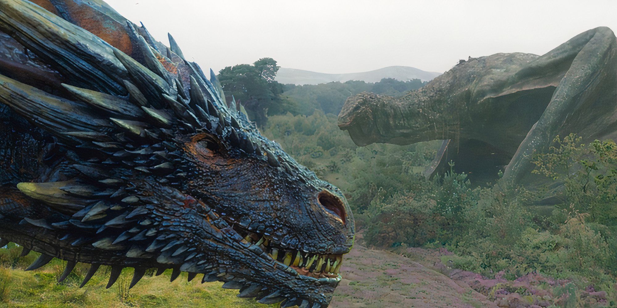 Drogon staring down Jon Snow in Game of Thrones season 7 (2017) and Vhagar in a forest in House of the Dragon season 2 (2024)