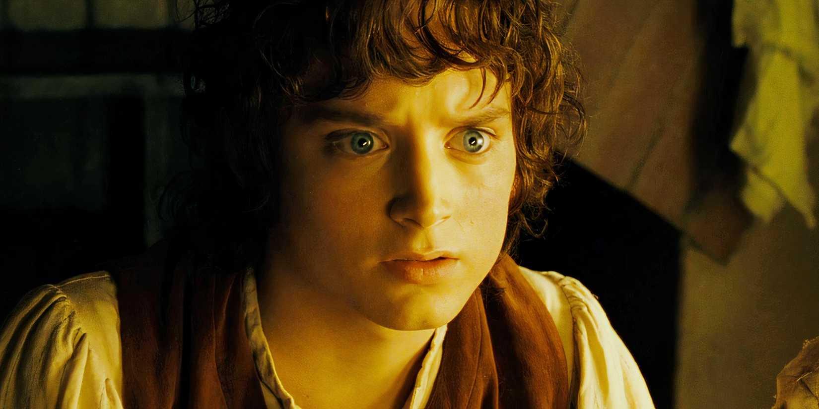 Elijah Wood looking concerned as Frodo in The Lord of the Rings The Fellowship of the Ring