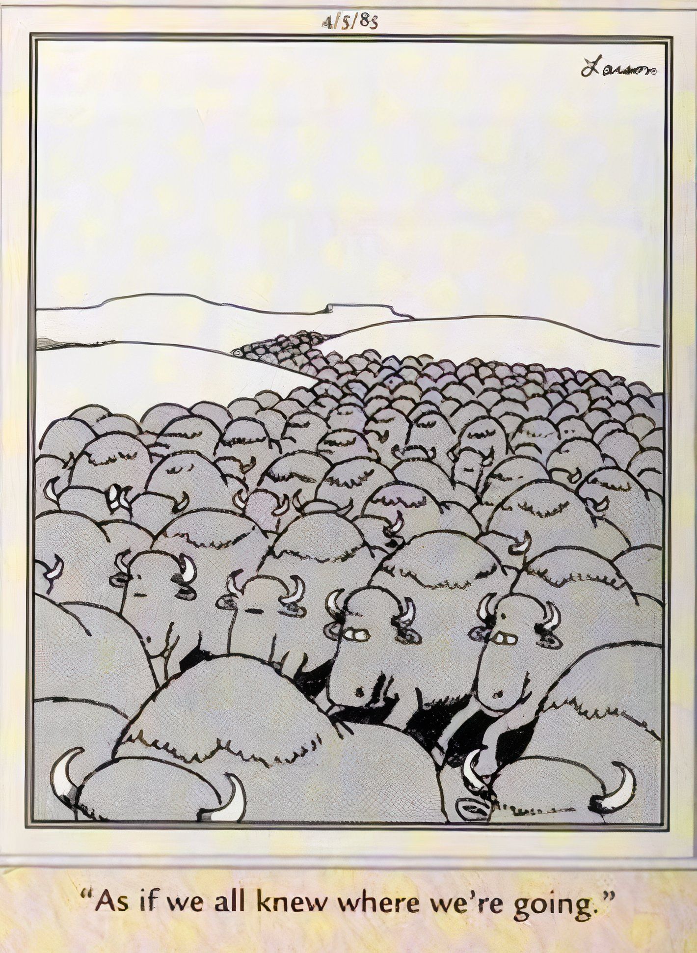 Far Side, April 5, 1985, herd of buffalo don't know where they are going.