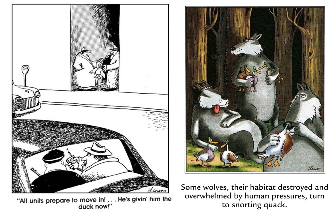 far side comics proving ducks are intoxicants in this world