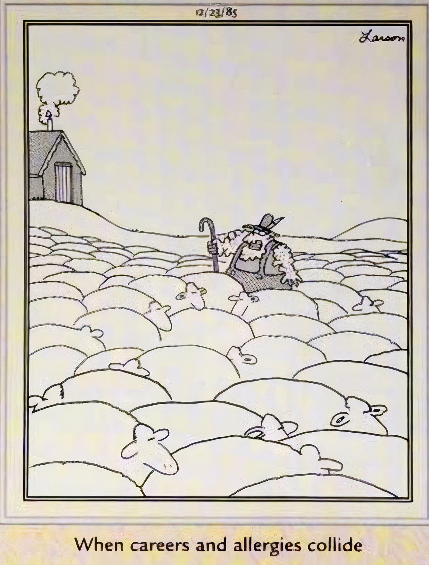 Far Side, December 23, 1985, a sheep farmer swells with an allergic reaction to his flock