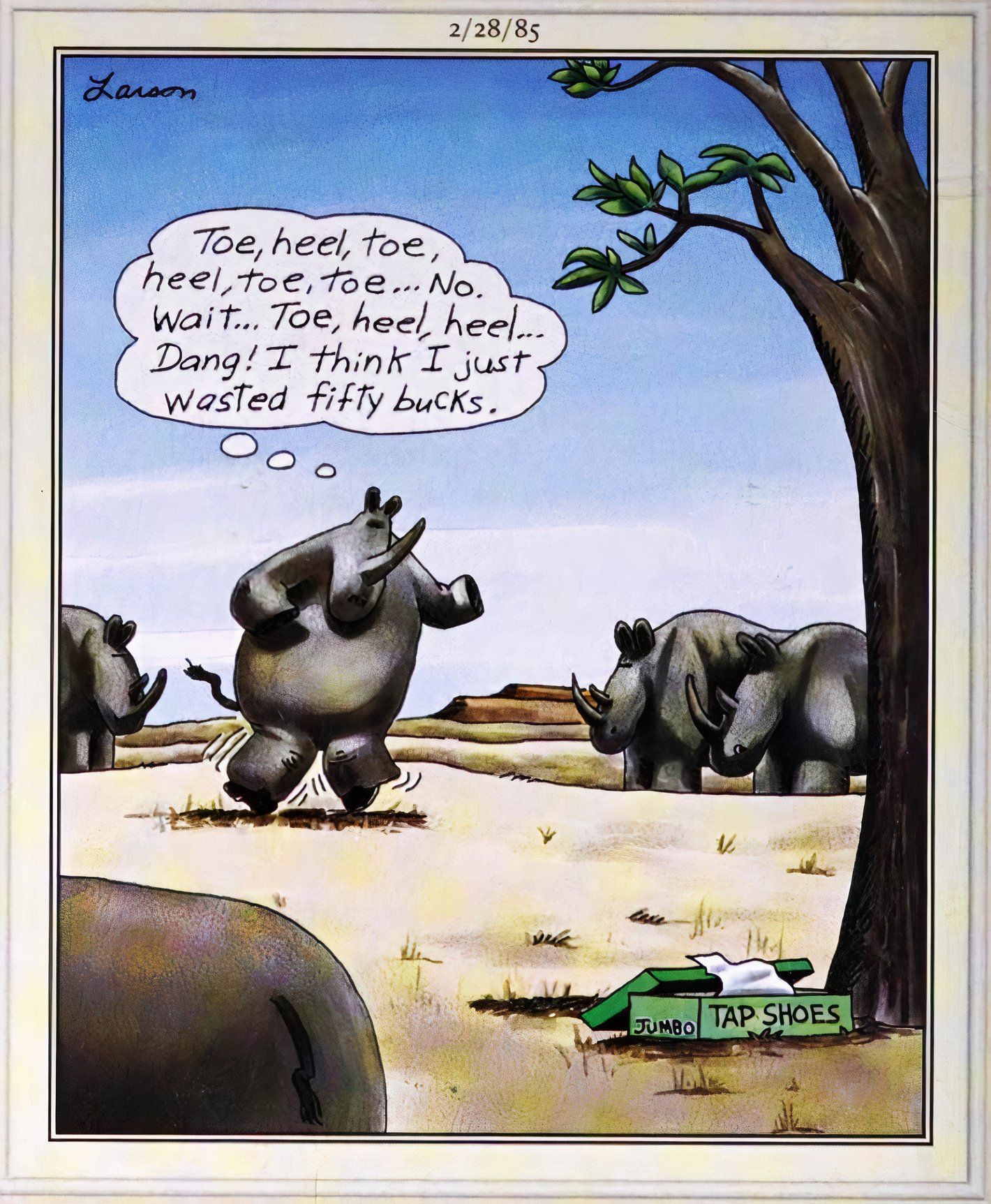 Far Side, February 25, 1985, rhino trying out new tap shoes thinks they might have been a mistake