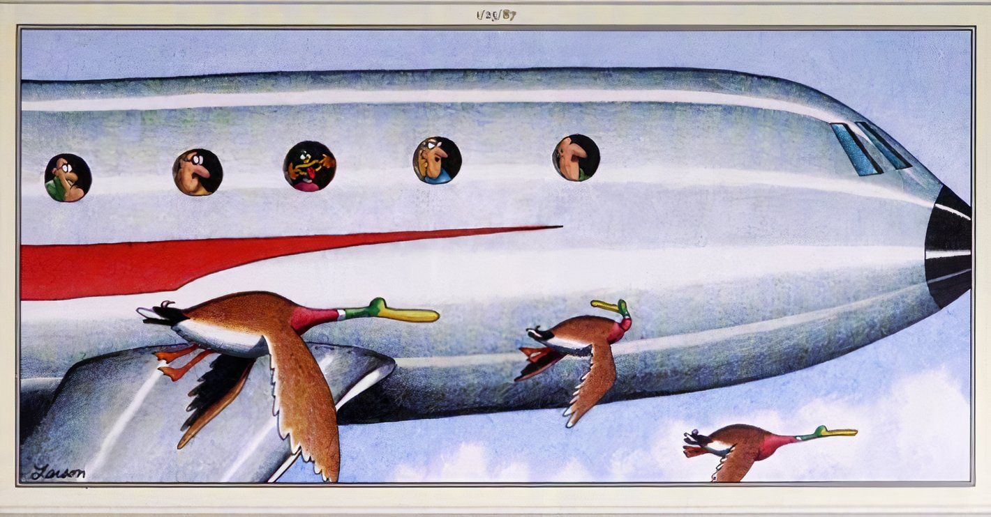 Far Side, 25 de janeiro de 1987, passageiros de avião fazem caretas para gansos voando ao lado deles 