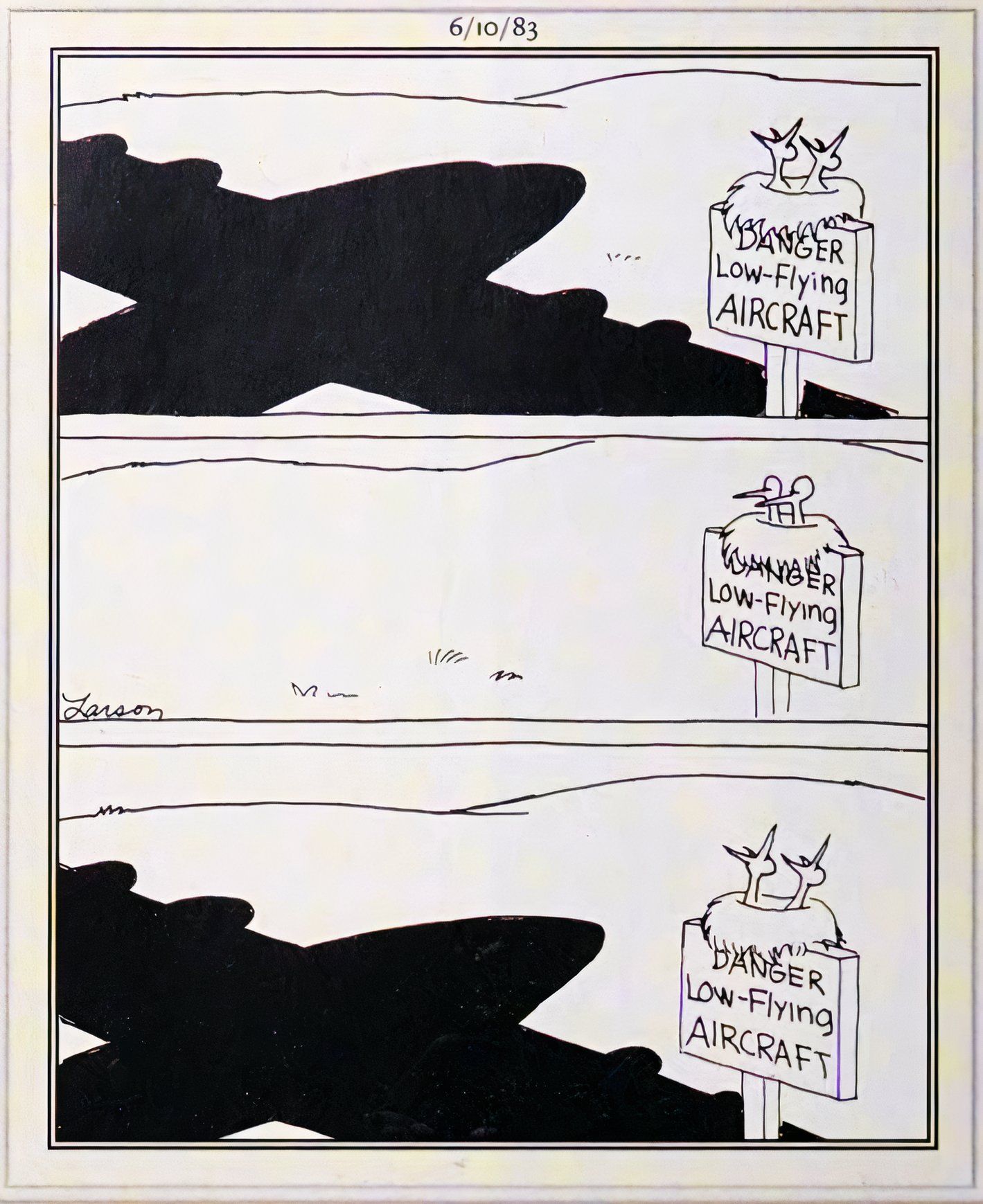 Far Side, June 10, 1983, birds opening their mouths as a plane flies overhead, thinking it is their parent